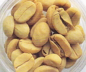 20210113_024513628_iOS