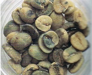 20210113_024519929_iOS