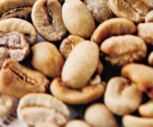 20210113_024523028_iOS