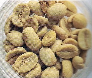 20210113_024526046_iOS