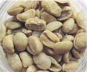 20210113_024532881_iOS