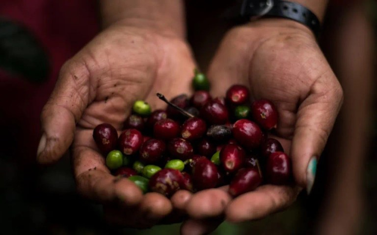 20210203_065657033_iOS