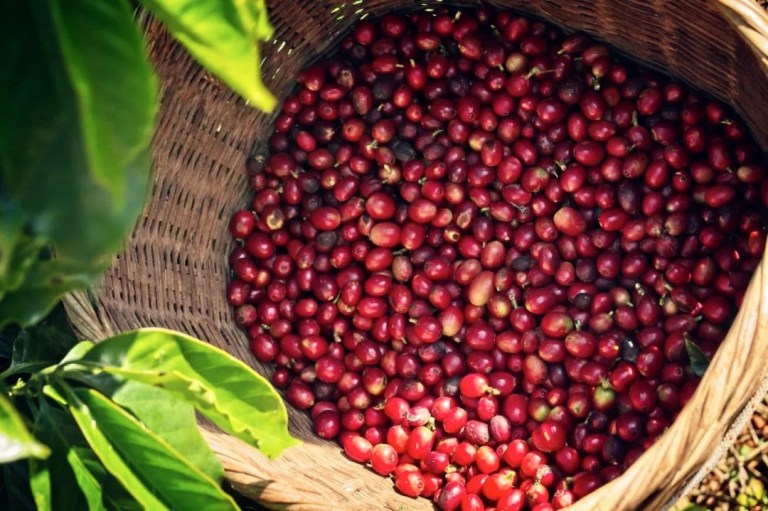 20210203_065702666_iOS