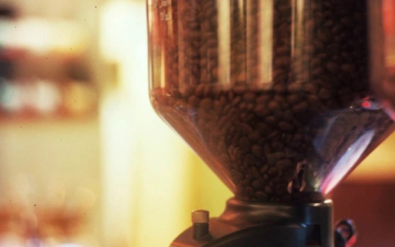 20210209_121632558_iOS