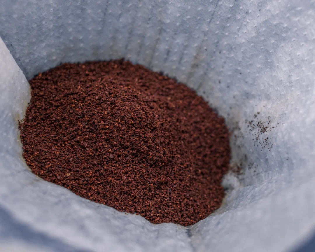 20210216_010208969_iOS