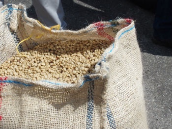 20210216_010301275_iOS