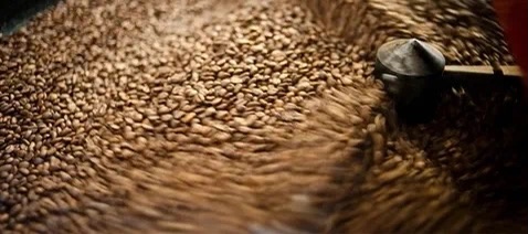 20210224_042028449_iOS