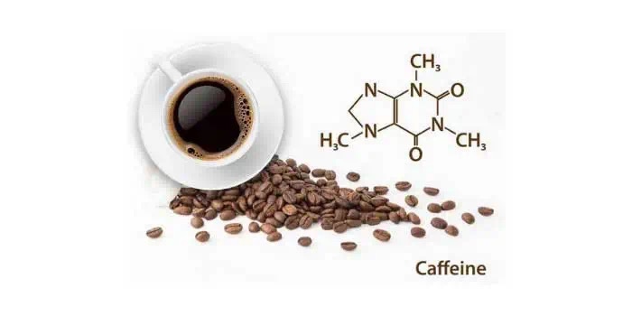 20210228_030644116_iOS