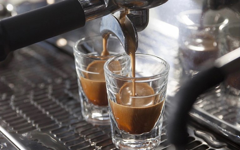 20210303_043821477_iOS