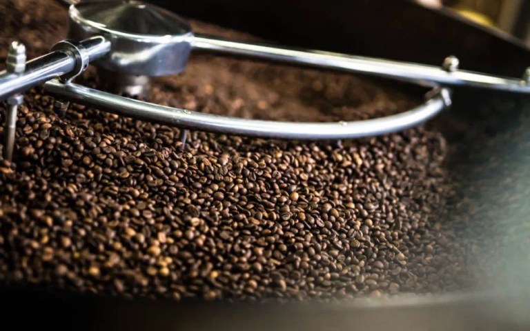 20210312_033003700_iOS