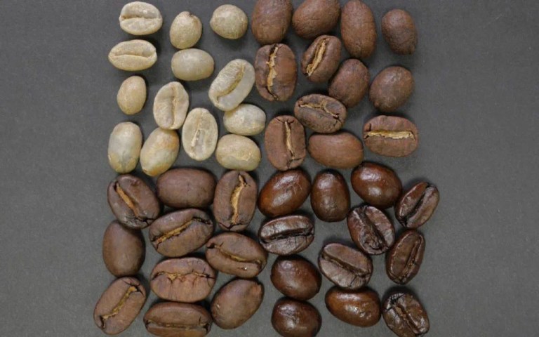 20210312_033010198_iOS