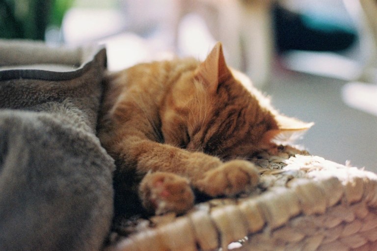 20210315_043609651_iOS