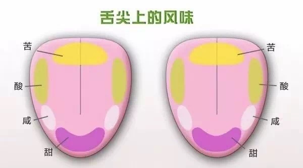 20210516_123318828_iOS