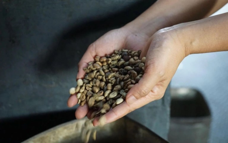 20210601_110816295_iOS