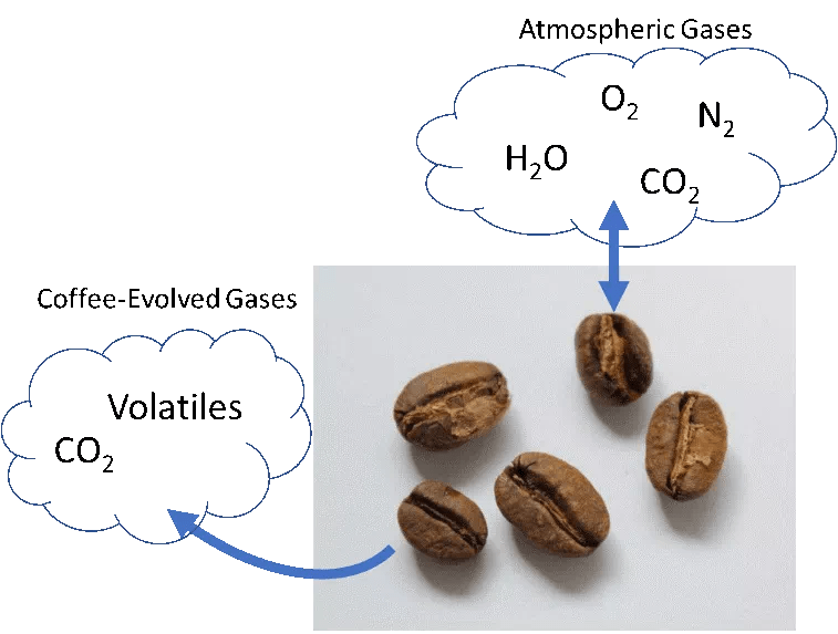 20211006_044304902_iOS