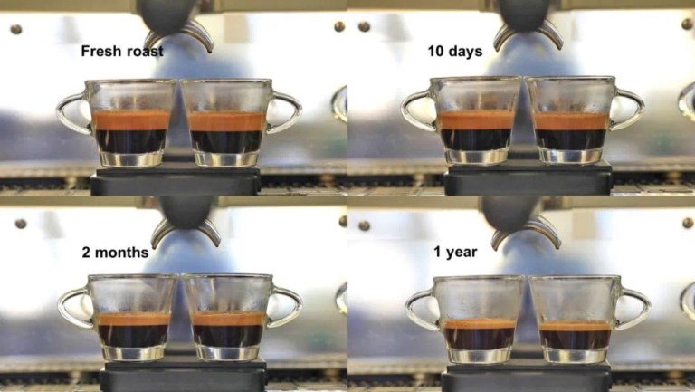 20211006_044309036_iOS