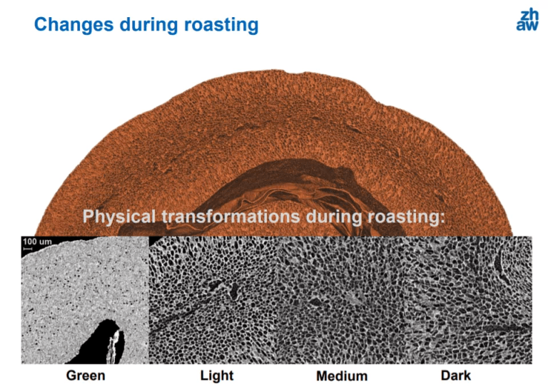 20211006_044348813_iOS