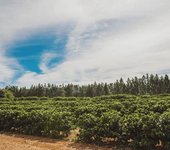 20211006_044847479_iOS