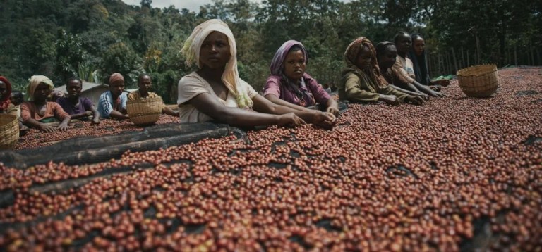 20211006_044850535_iOS