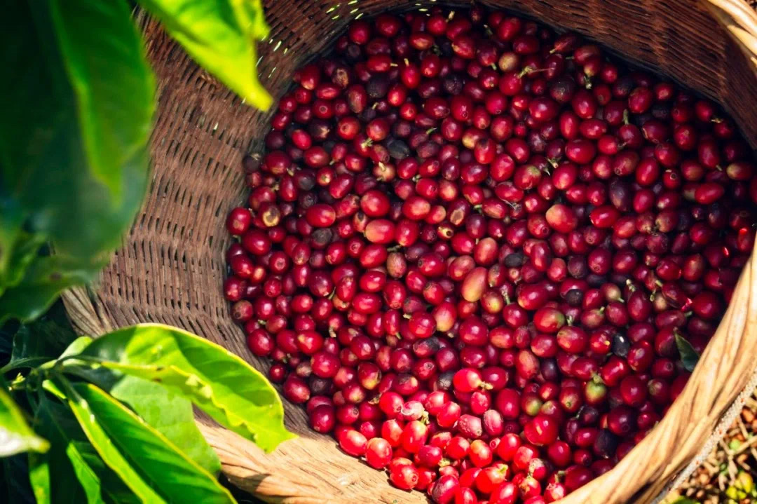 20211006_045018789_iOS