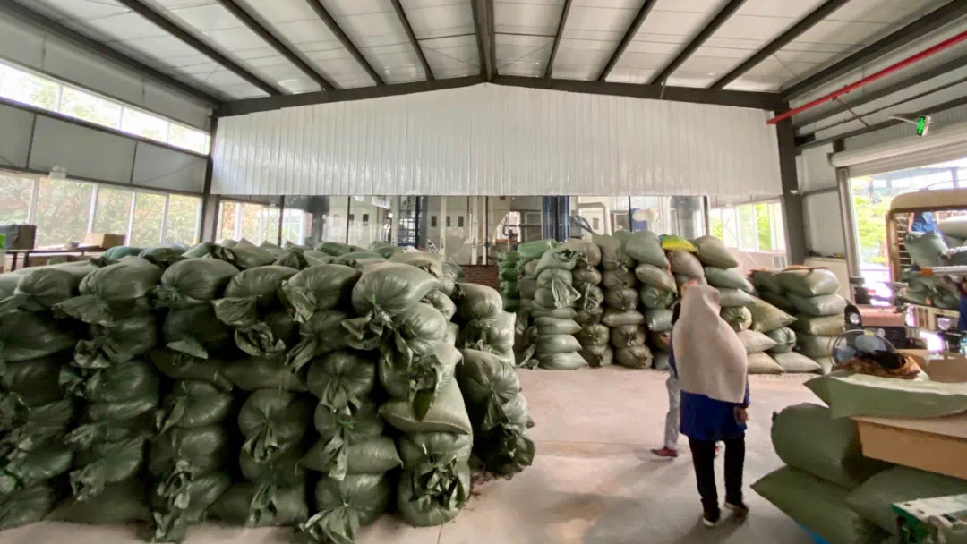 20211006_045032197_iOS