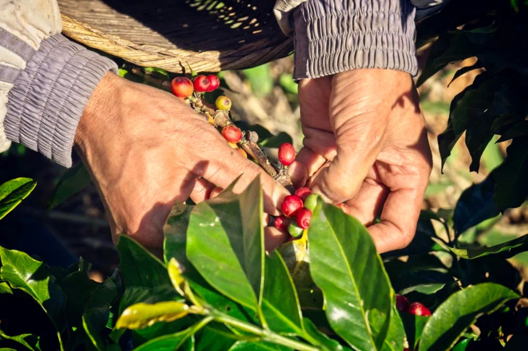 20211006_045042654_iOS