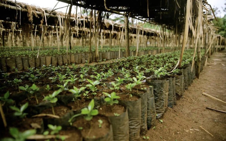 20211214_035941615_iOS