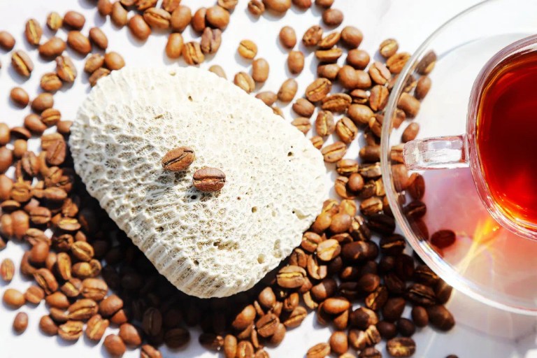 20211214_040303393_iOS