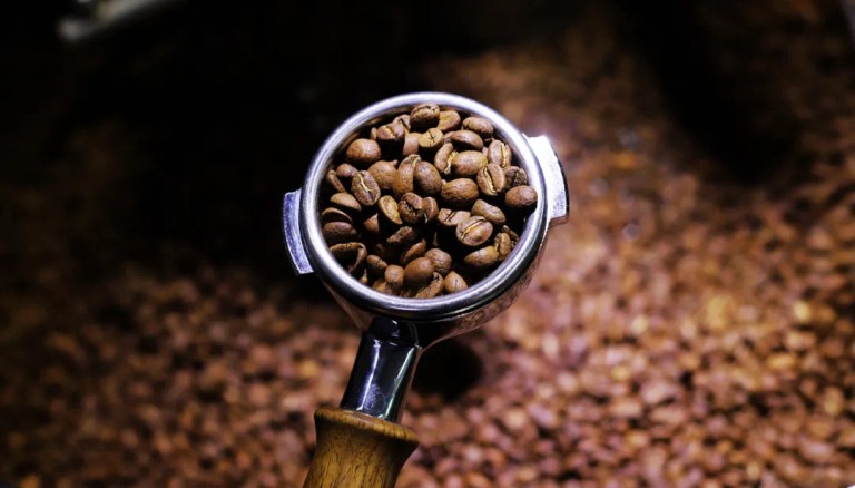 20211214_040524325_iOS