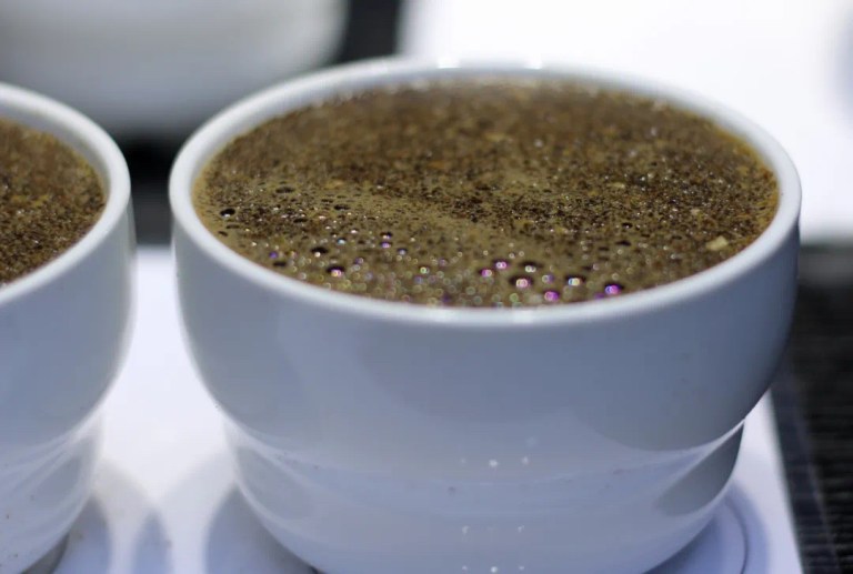 20211214_040636910_iOS