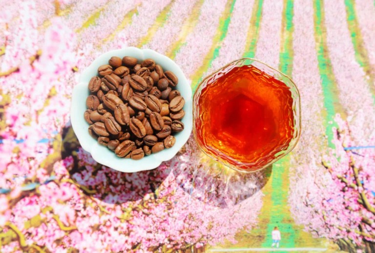 20211214_040754426_iOS