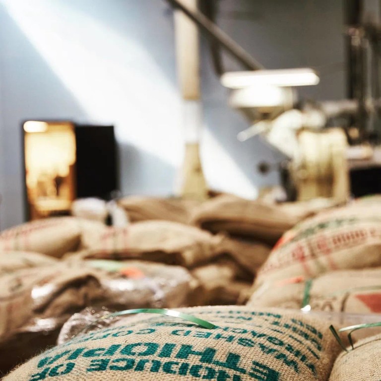 20220215_045929772_iOS