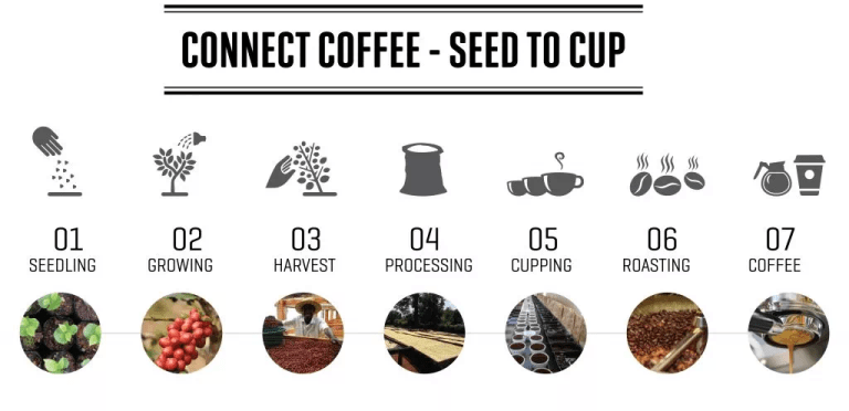 20220308_040959594_iOS