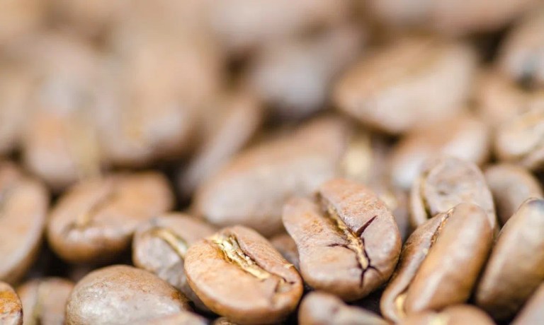 20220308_041136132_iOS