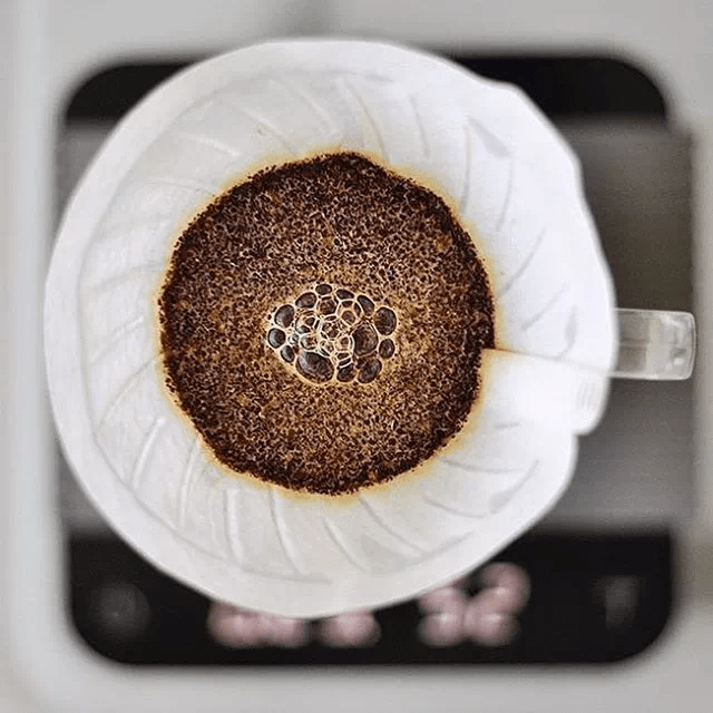 20220331_040823558_iOS