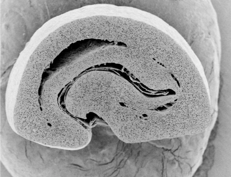 20220331_040838595_iOS