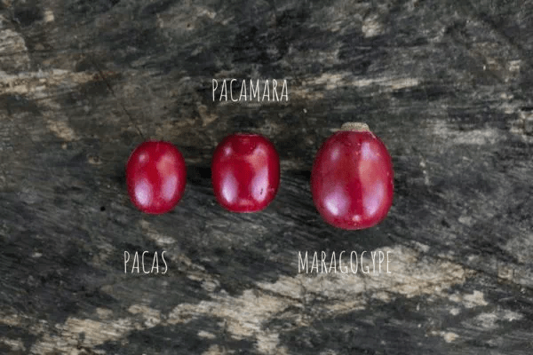 20220331_041215914_iOS