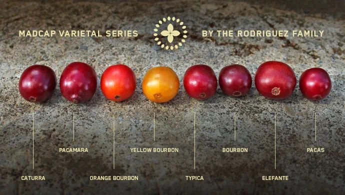 20220331_041222288_iOS