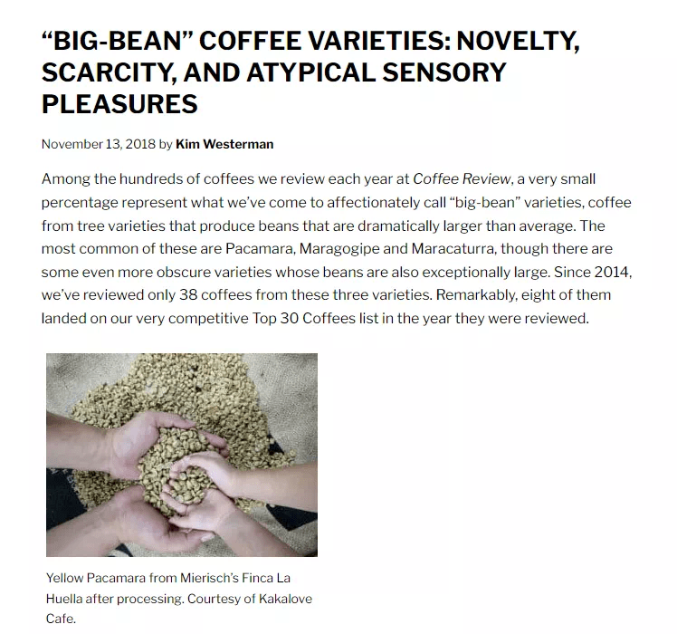 20220331_041308253_iOS