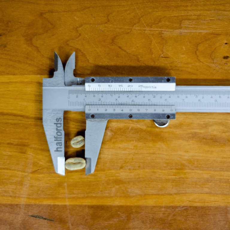 20220331_041311867_iOS