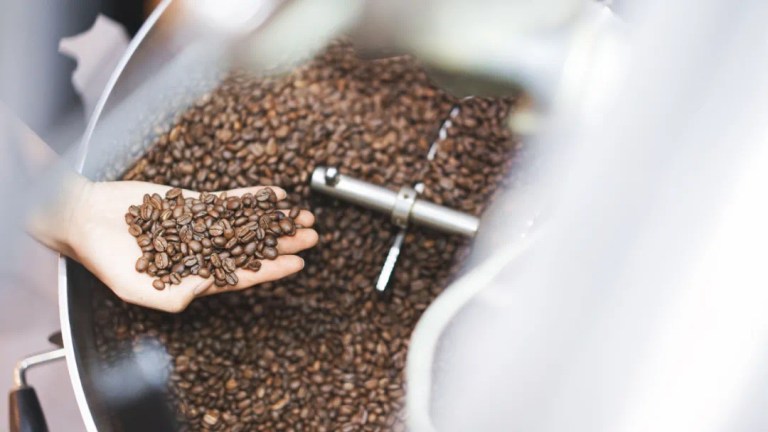 20220331_041446886_iOS