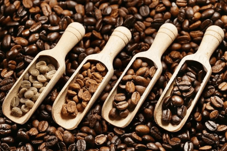 20220331_041715321_iOS